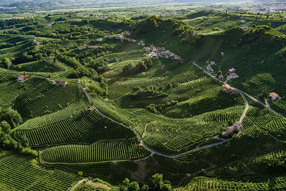The hills of Conegliano-Valdobbiadene proclaimed UNESCO World Heritage Site