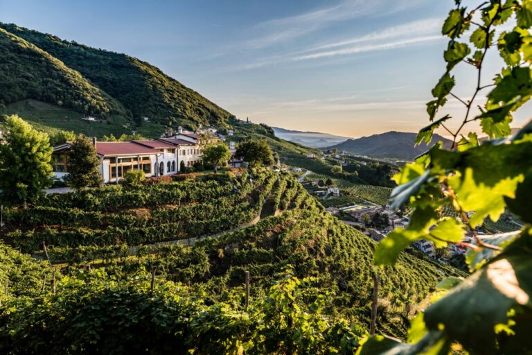 Col Vetoraz among Decanter TOP 20 by Rebecca Gibb MW Decanter Col Vetoraz among Decanter TOP 20 by Rebecca Gibb MW Decanter