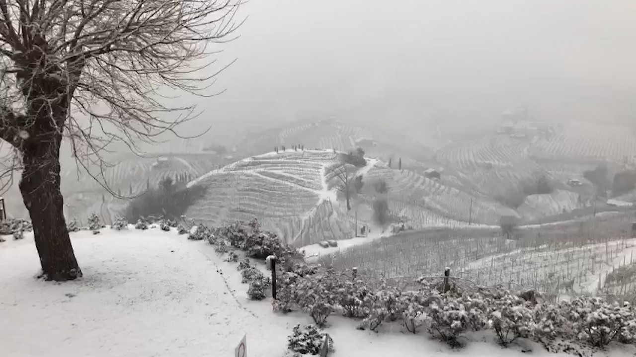 Winter time at Col Vetoraz is the season for a slow but vigilant rest both for the earth and the vine
