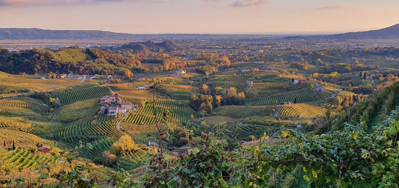 Col Vetoraz is only Valdobbiadene DOCG Col Vetoraz is only Valdobbiadene DOCG