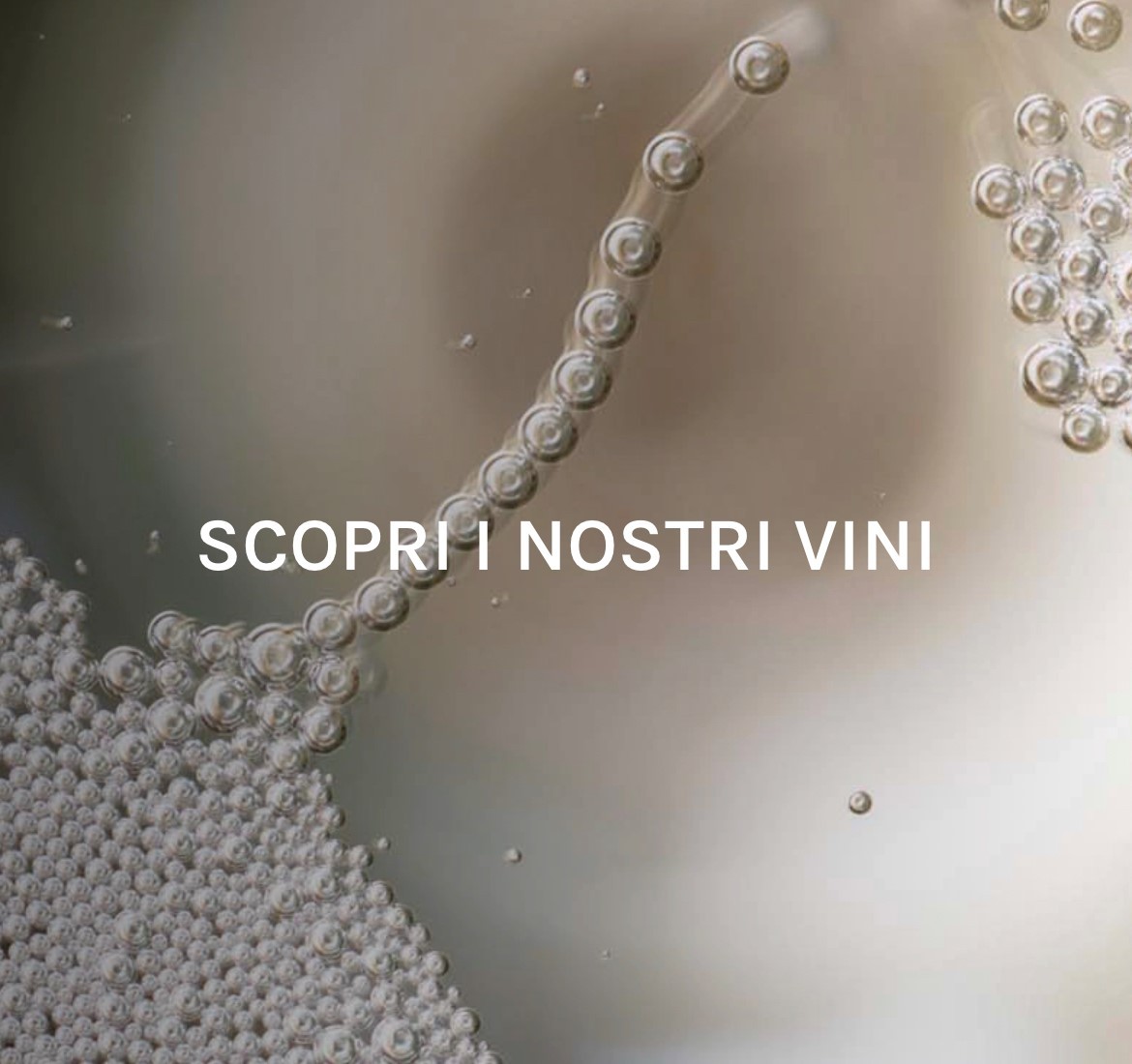Col Vetoraz: a showcase of excellence, our new shop is now online !