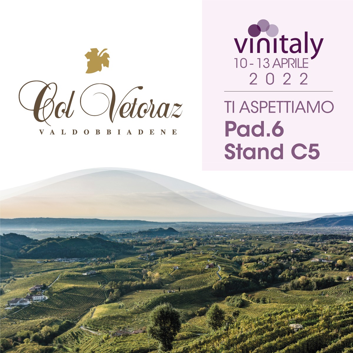 Back to Vinitaly with our toasts of excellence Hall 6 – Stand C5, Back to Vinitaly with our toasts of excellence Hall 6 - Stand C5,