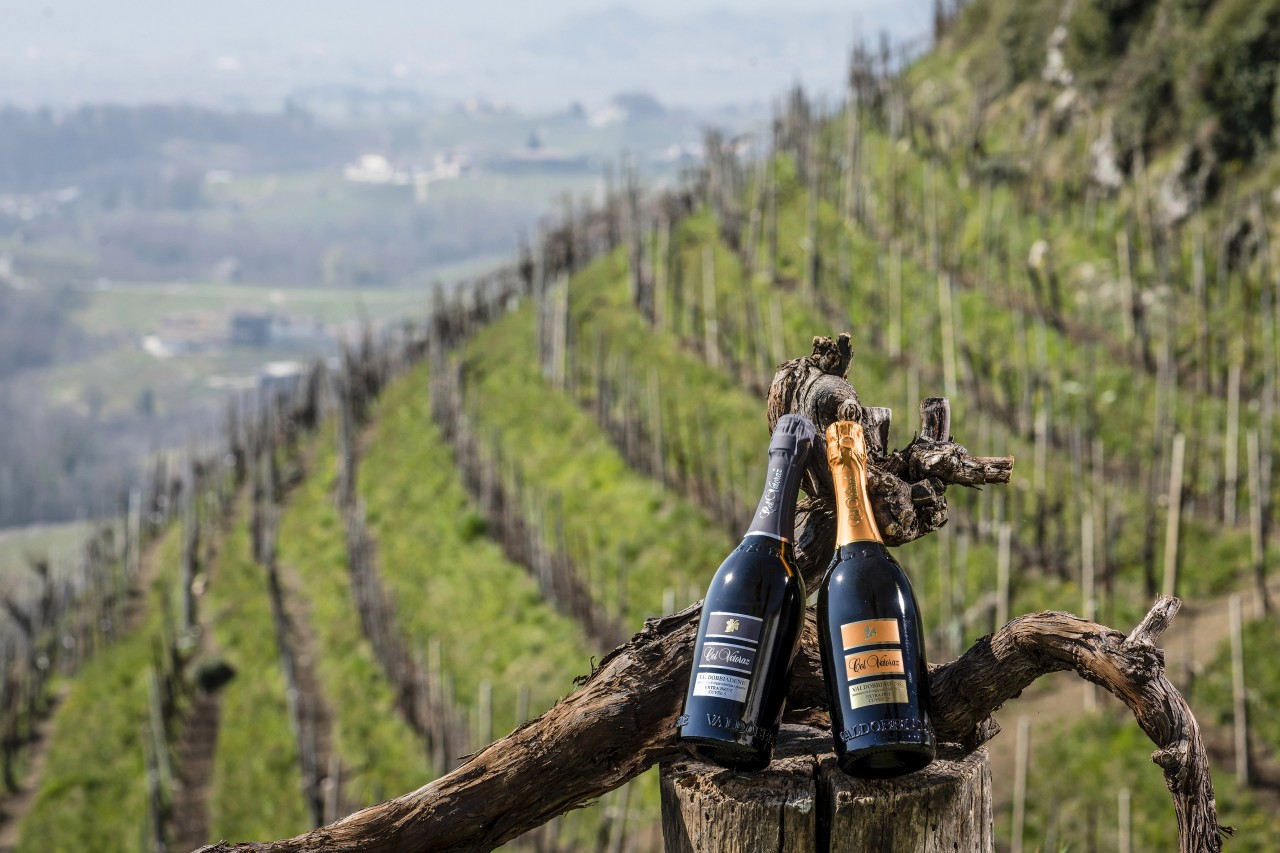 The Conegliano-Valdobbiadene Experience at Col Vetoraz! The Conegliano-Valdobbiadene Experience at Col Vetoraz!
