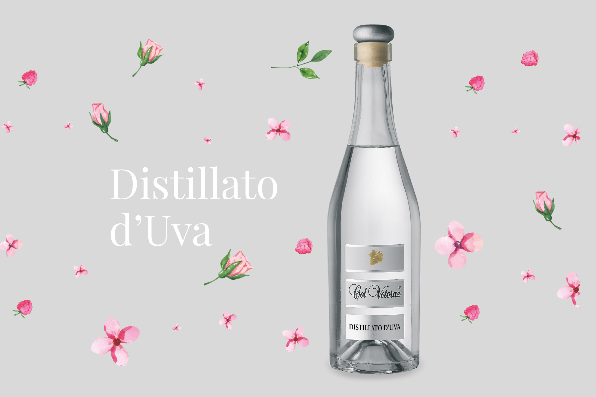 Benvenuto al nuovo Distillato d’Uva: eccellenza da gustare Benvenuto al nuovo Distillato d’Uva: eccellenza da gustare