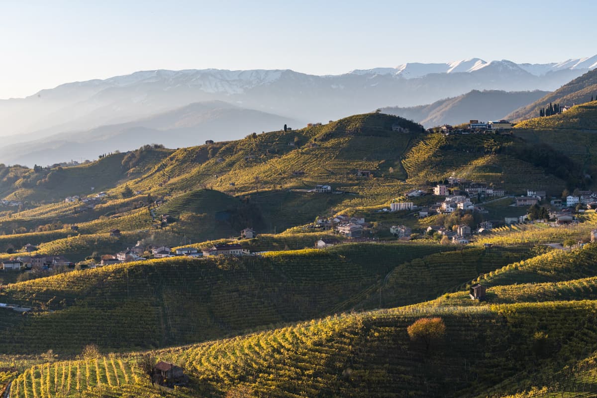 Zona del Cartizze alto vista dalla sala accoglienza Col Vetoraz