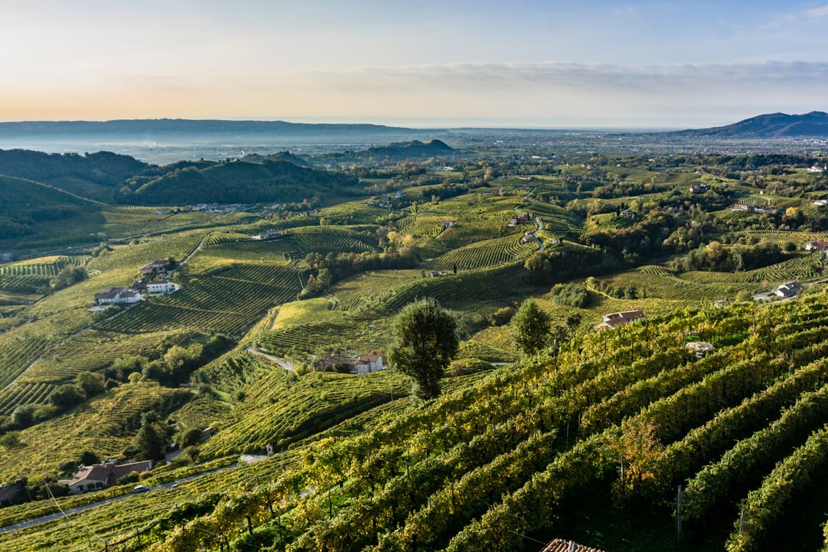 Colline del Cartizze alto dove nasce il Superiore di Cartizze