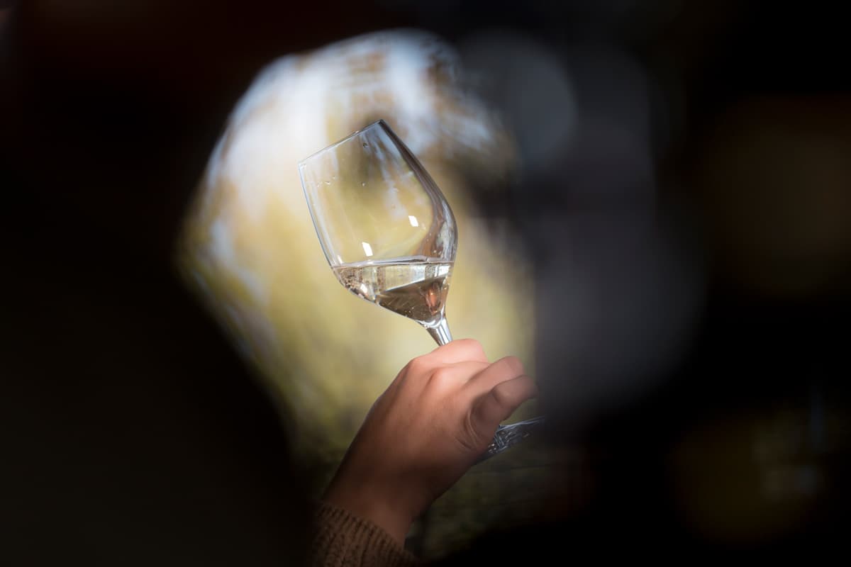 Cuvée Brut: significato, stile secco e interpretazione Col Vetoraz Cuvée Brut Col Vetoraz Valdobbiadene DOCG
