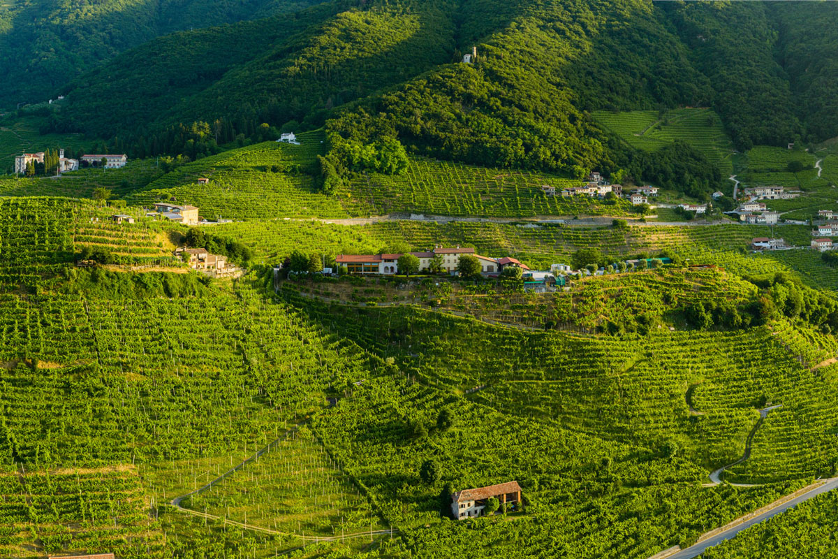 Brut significato: cosa indica davvero negli spumanti e nel Valdobbiadene DOCG Vigneti esposti a Levante per Brut Coste di Levante