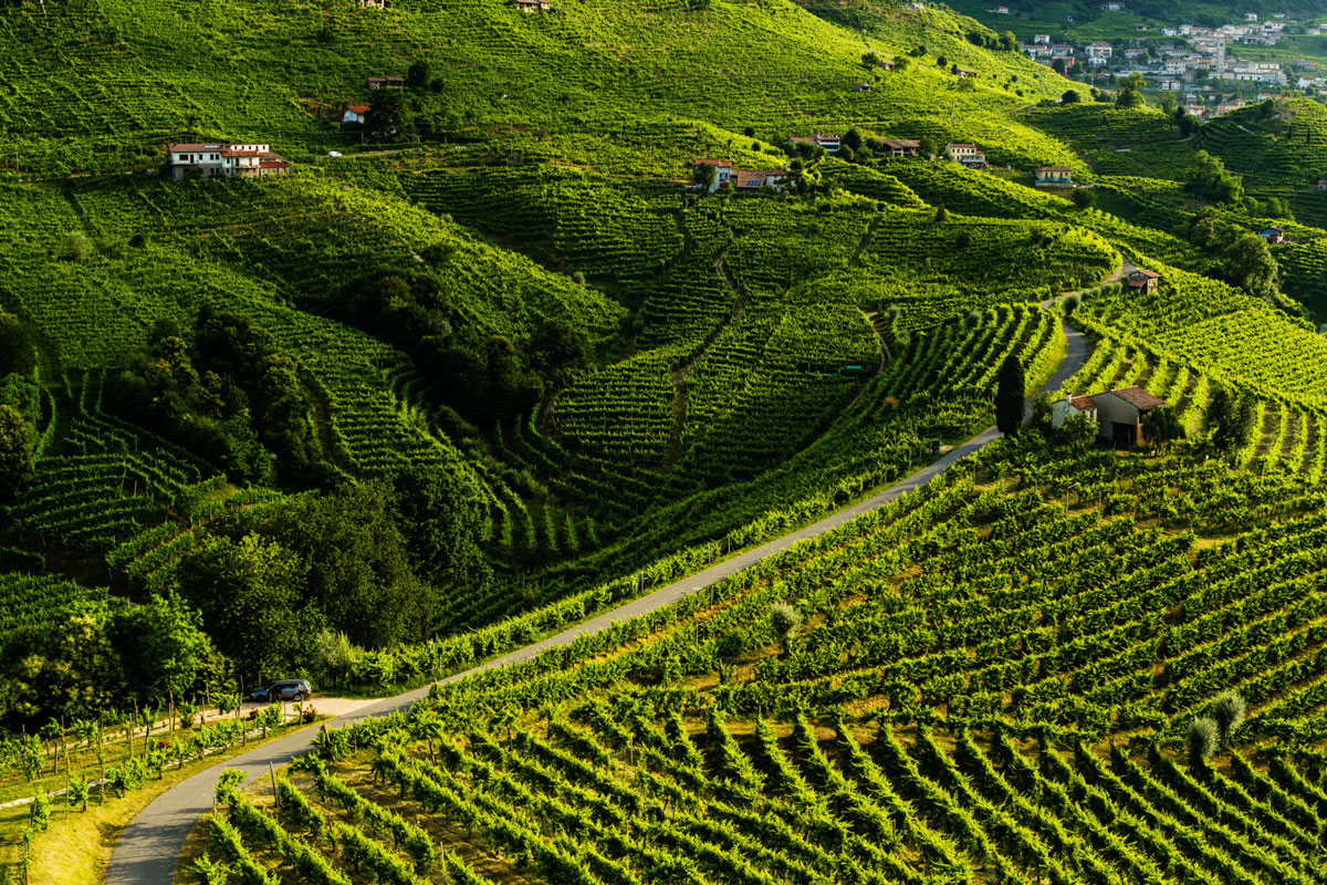 Cantine produttori Valdobbiadene: scegliere il vino dove nasce il Cartizze