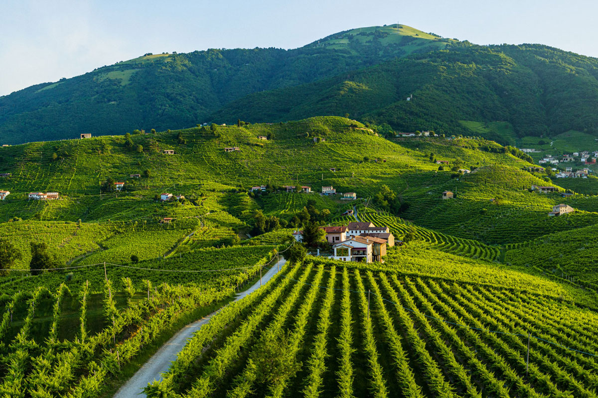 Conegliano Valdobbiadene Prosecco Superiore DOCG: perché per Col Vetoraz conta il nome del territorio Vigneti del Valdobbiadene DOCG sulle colline storiche