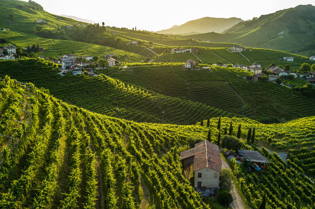 Conegliano Valdobbiadene Prosecco Superiore DOCG: perché per Col Vetoraz conta il nome del territorio Colline UNESCO tra Conegliano e Valdobbiadene con vigneti in pendenza