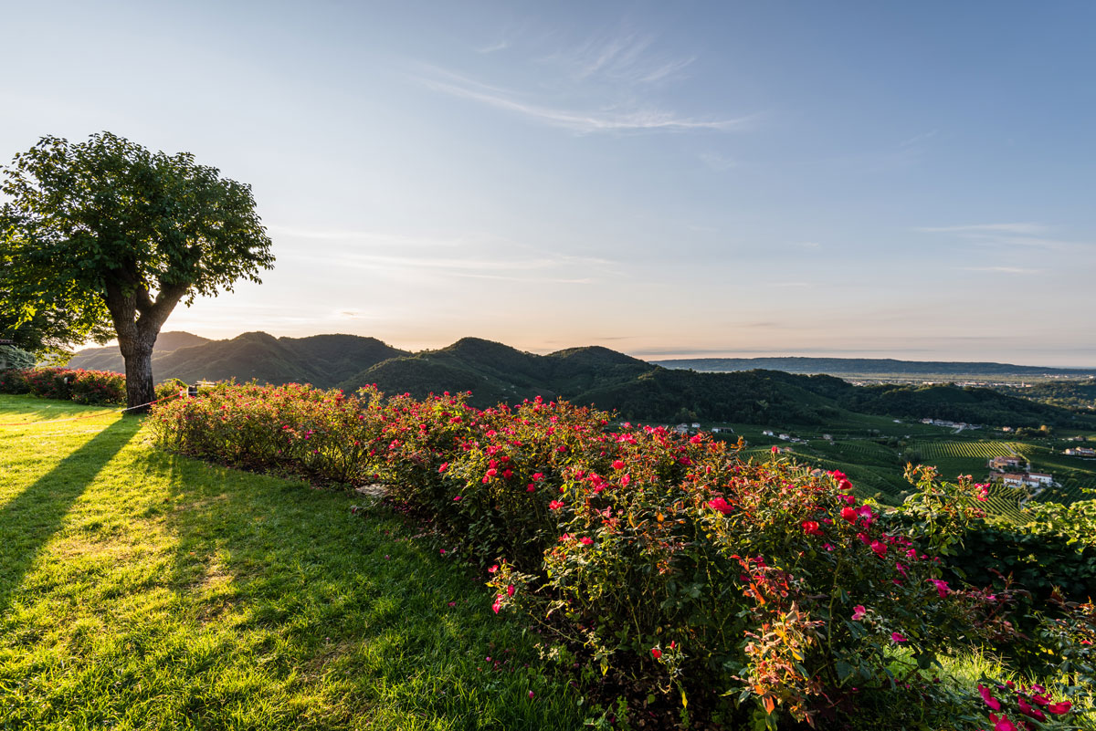 Conegliano Valdobbiadene Prosecco Superiore DOCG o Valdobbiadene DOCG? Perché Col Vetoraz ha scelto il territorio Quando la parola “Prosecco” ha perso la sua identità territoriale