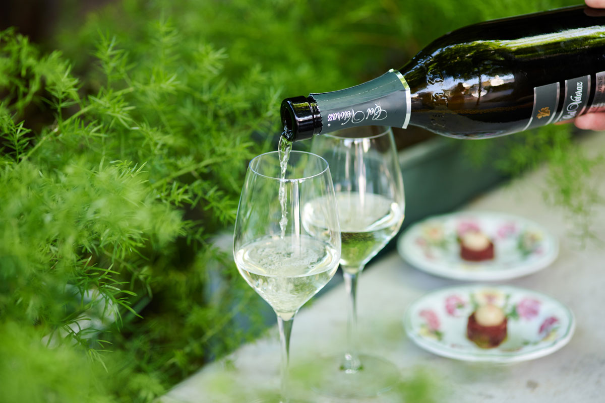 Tra Prosecco DOC e Conegliano Valdobbiadene Prosecco Superiore DOCG non cambia solo il nome: cambia il territorio da cui tutto prende forma.