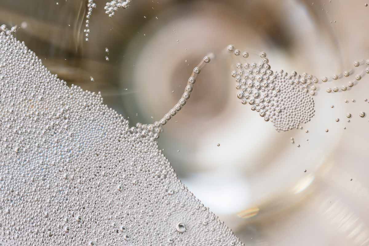 Perlage vini: cosa raccontano davvero le bollicine di uno spumante Bollicine dello spumante Col Vetoraz nel calice