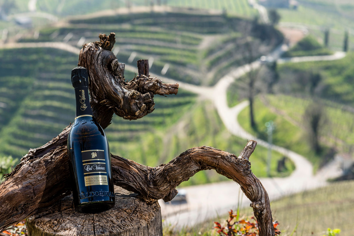 Terroir: significato e valore nel Valdobbiadene DOCG Vini Col Vetoraz e territorio di Valdobbiadene