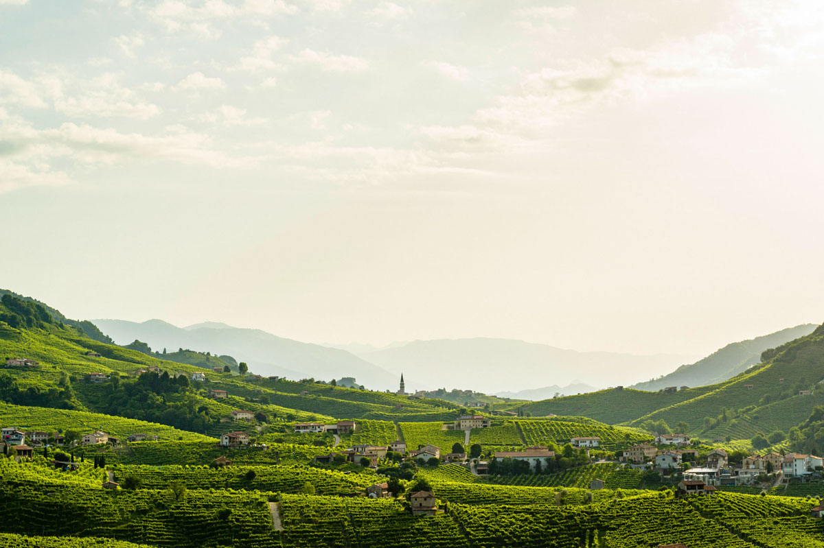Tipologie di terreni: come il suolo racconta il Valdobbiadene DOCG Paesaggio collinare del Conegliano Valdobbiadene Prosecco Superiore DOCG