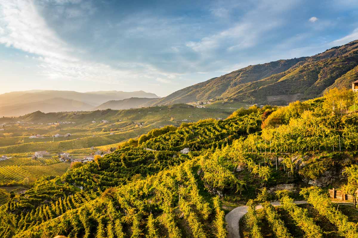Valdobbiadene Superiore Extra Dry: gusto, prezzo e differenze Differenza tra Extra Dry e Brut nel Conegliano Valdobbiadene Prosecco Superiore DOCG