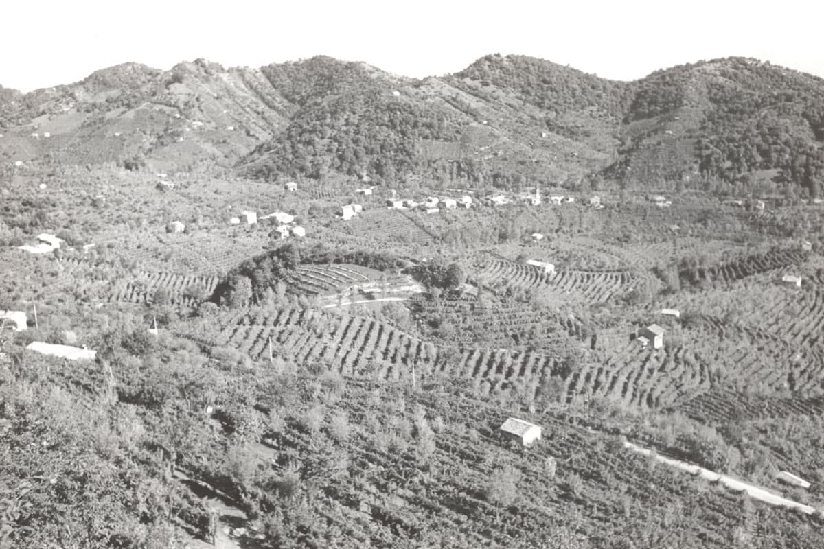 Conegliano Valdobbiadene Prosecco Superiore DOCG: storia di un nome Storia del Conegliano Valdobbiadene Prosecco Superiore DOCG