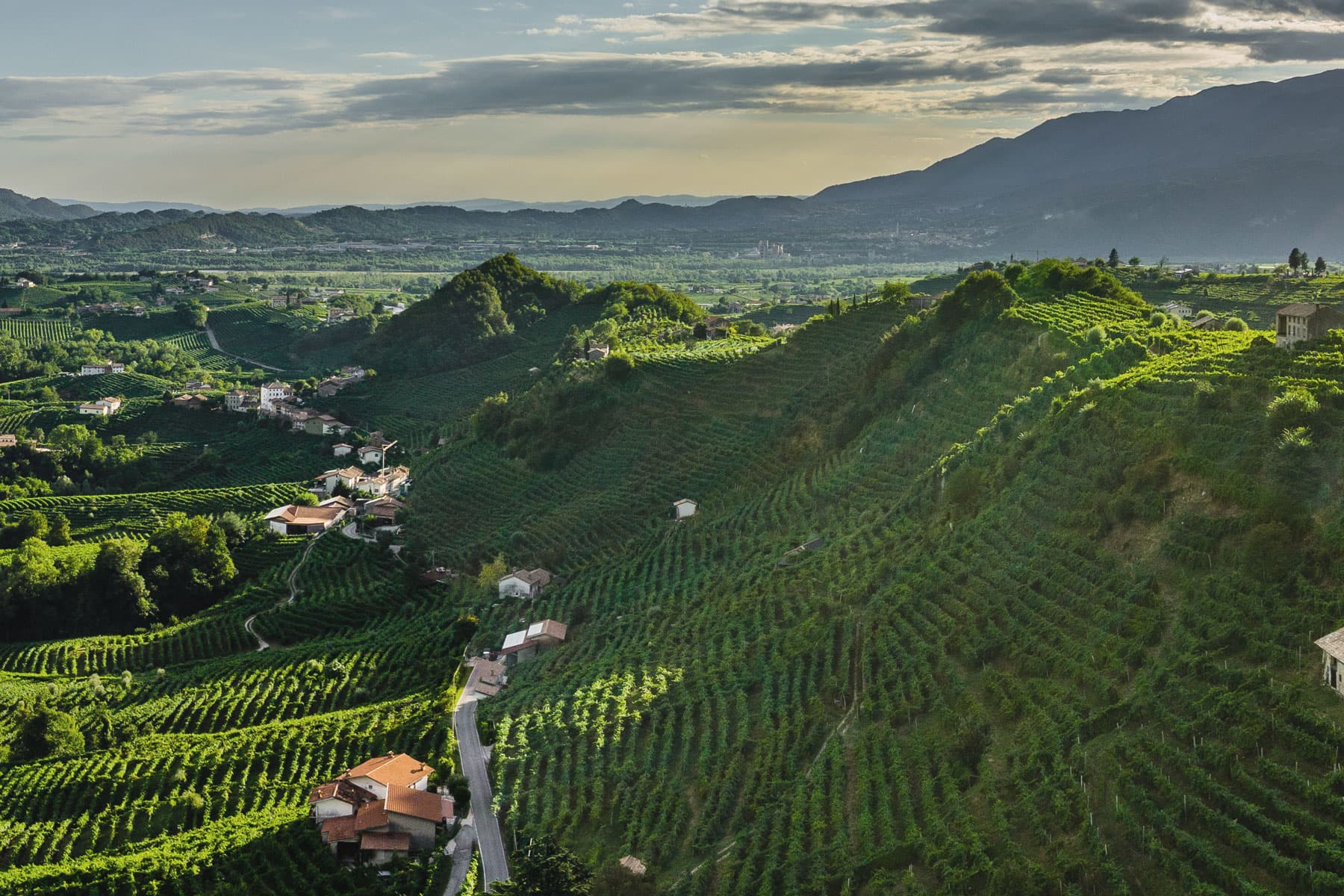 Le “Colline del Prosecco di Conegliano e Valdobbiadene”: un paesaggio da vivere Le Colline del Prosecco di Conegliano e Valdobbiadene Patrimonio UNESCO