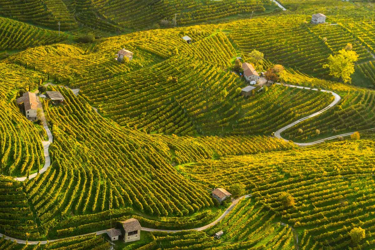 Le “Colline del Prosecco di Conegliano e Valdobbiadene”: un paesaggio da vivere Paesaggio UNESCO tra vigneti, boschi e borghi di Valdobbiadene