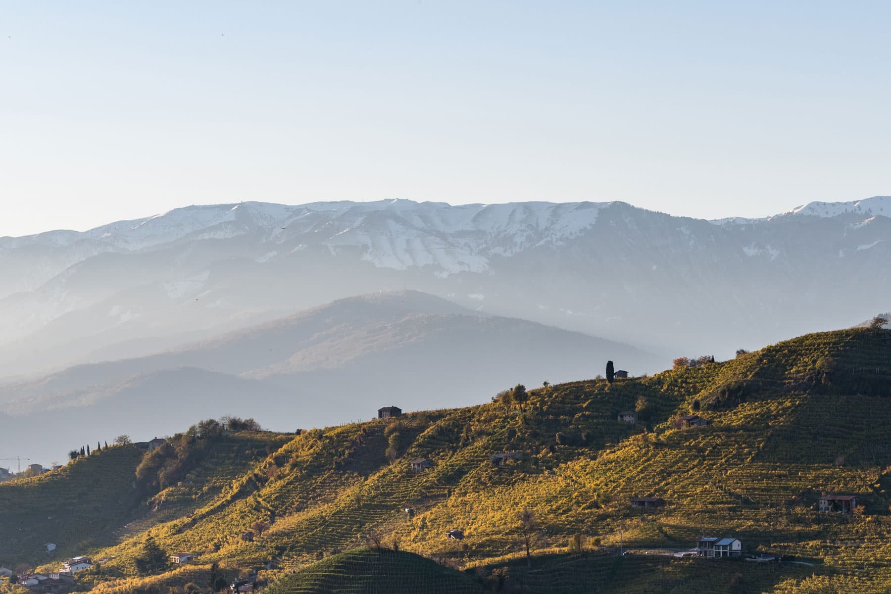 Le “Colline del Prosecco di Conegliano e Valdobbiadene”: un paesaggio da vivere Ciglioni erbosi sulle colline di Conegliano e Valdobbiadene