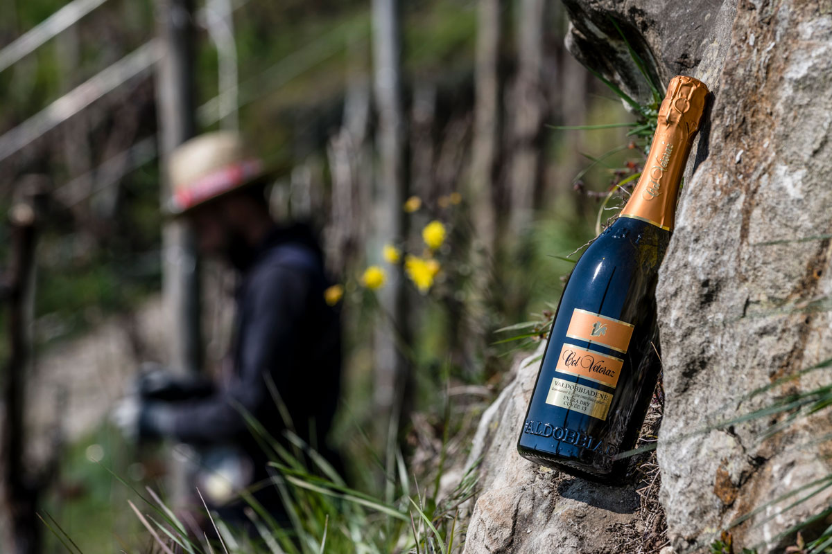 Raccolta delle uve: perché a Valdobbiadene è ancora un gesto manuale Vigneti in pendenza durante la vendemmia a Valdobbiadene