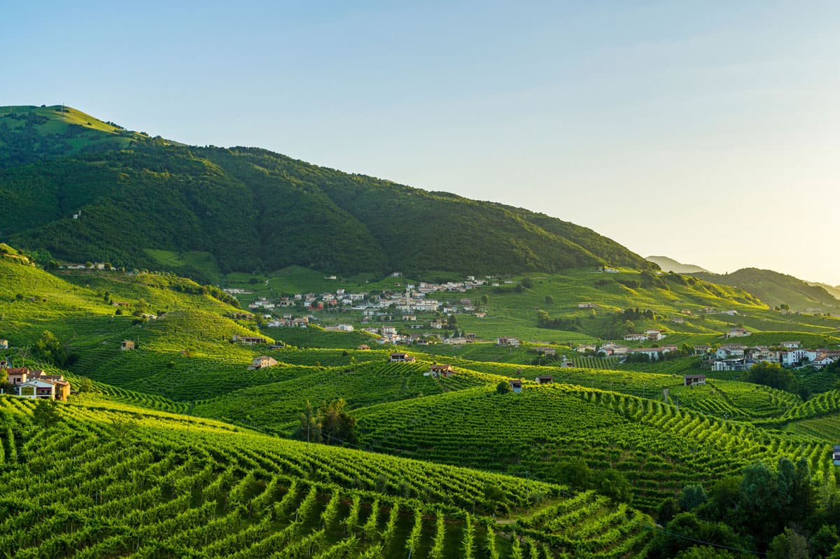 Come scegliere un Valdobbiadene DOCG di qualità: i criteri che contano davvero