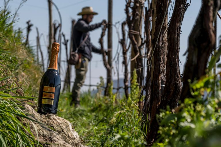 Vendemmia manuale nei vigneti Col Vetoraz a Valdobbiadene