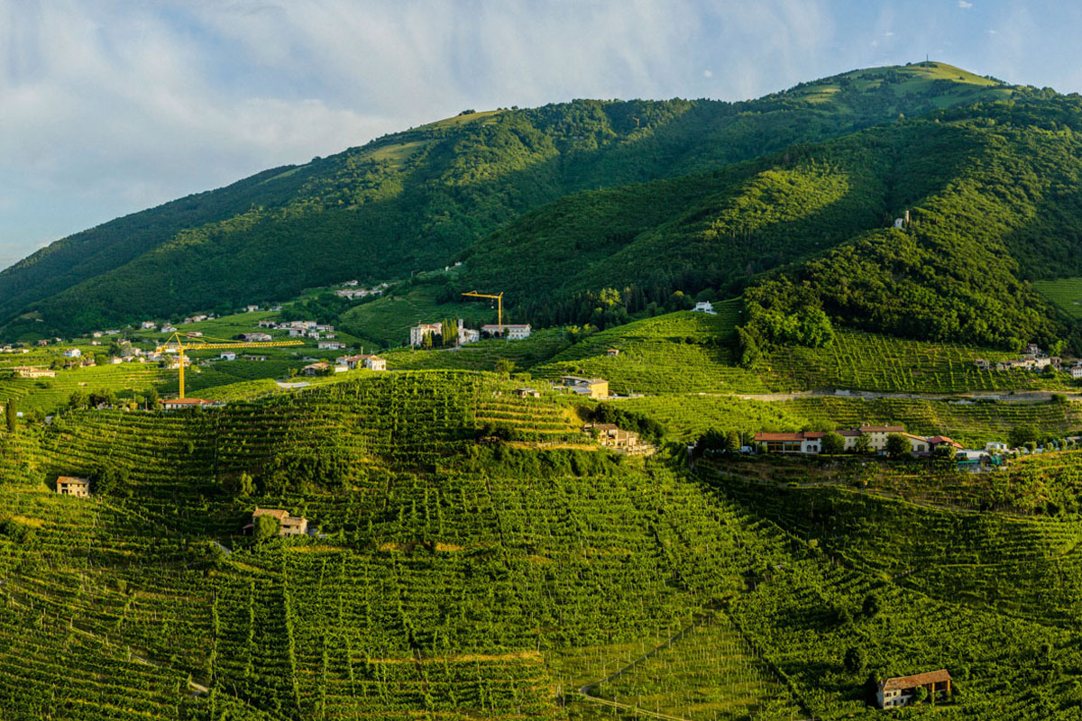 Cantine del Veneto: scegliere il territorio prima della cantina Colline di Valdobbiadene e vigneti del Cartizze