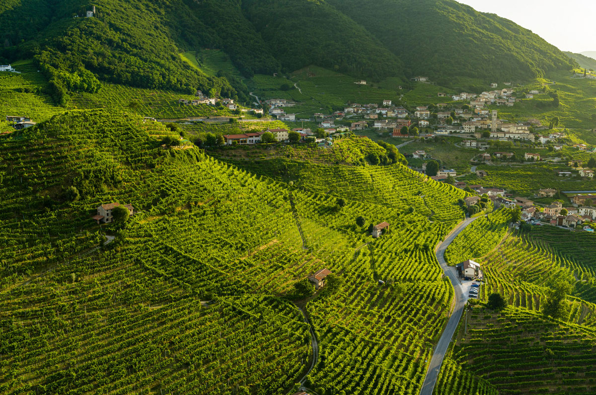Da “Colli del prosecco” a “Le Colline del Conegliano e Valdobbiadene” Panorama delle Colline del Prosecco di Conegliano e Valdobbiadene