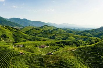 Colline di Valdobbiadene con vigneti in pendenza