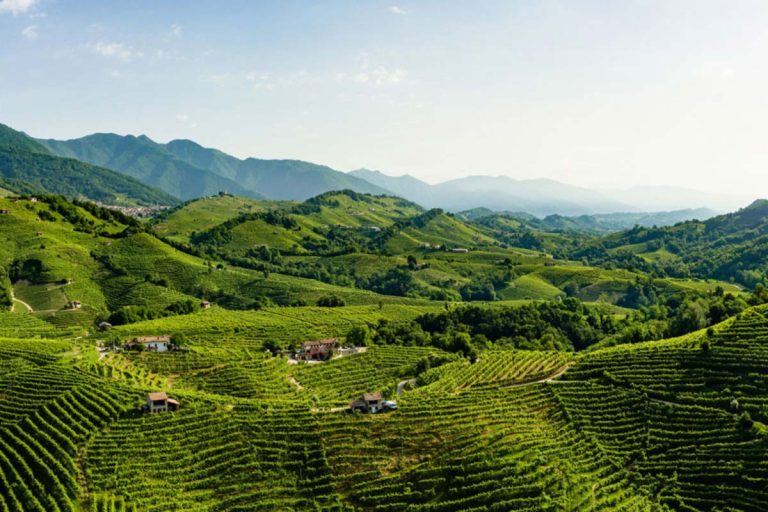 Colline di Valdobbiadene con vigneti in pendenza