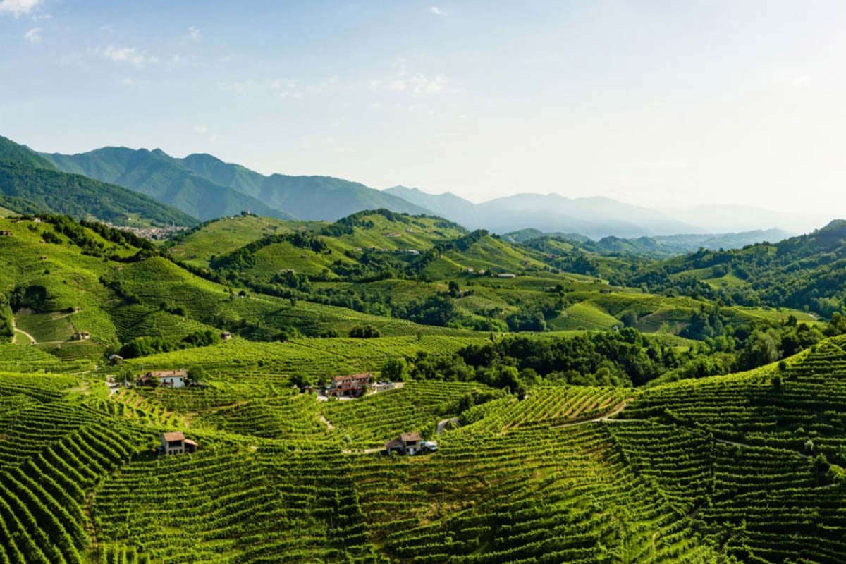 Collina: perché non è solo una forma del paesaggio Colline di Valdobbiadene con vigneti in pendenza