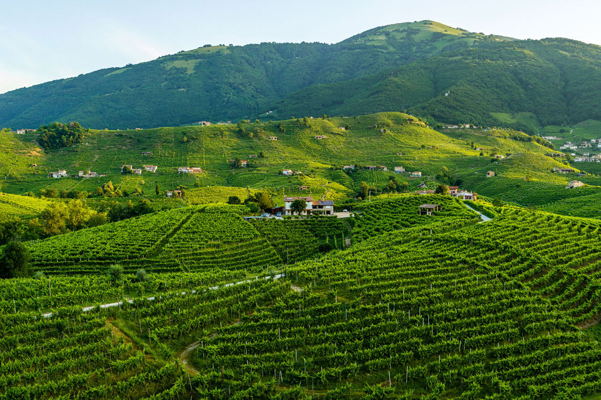 Collina: perché non è solo una forma del paesaggio Vigneti sulle colline UNESCO del Veneto