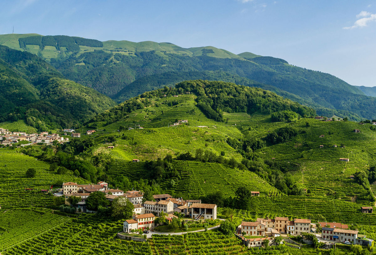 Colline: perché a Valdobbiadene non indicano solo un paesaggio Colline di Valdobbiadene con vigneti su pendenze diverse