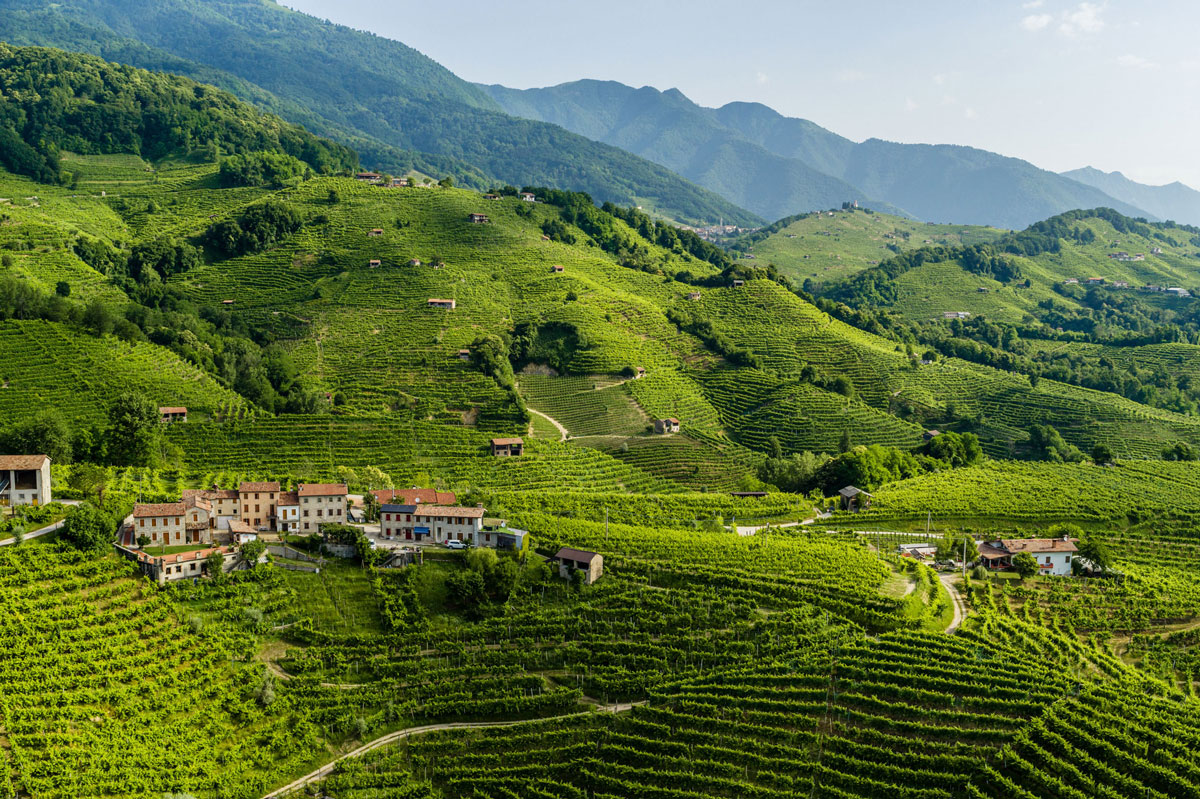 Colline: perché a Valdobbiadene non indicano solo un paesaggio Vigneti del Valdobbiadene DOCG tra dorsali e piccoli appezzamenti