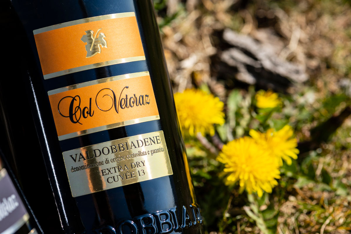 Degustazioni di vini: imparare a riconoscere le differenze nel calice