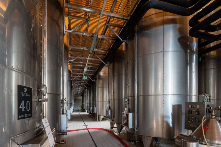 Fermentazione alcolica del vino in cantina