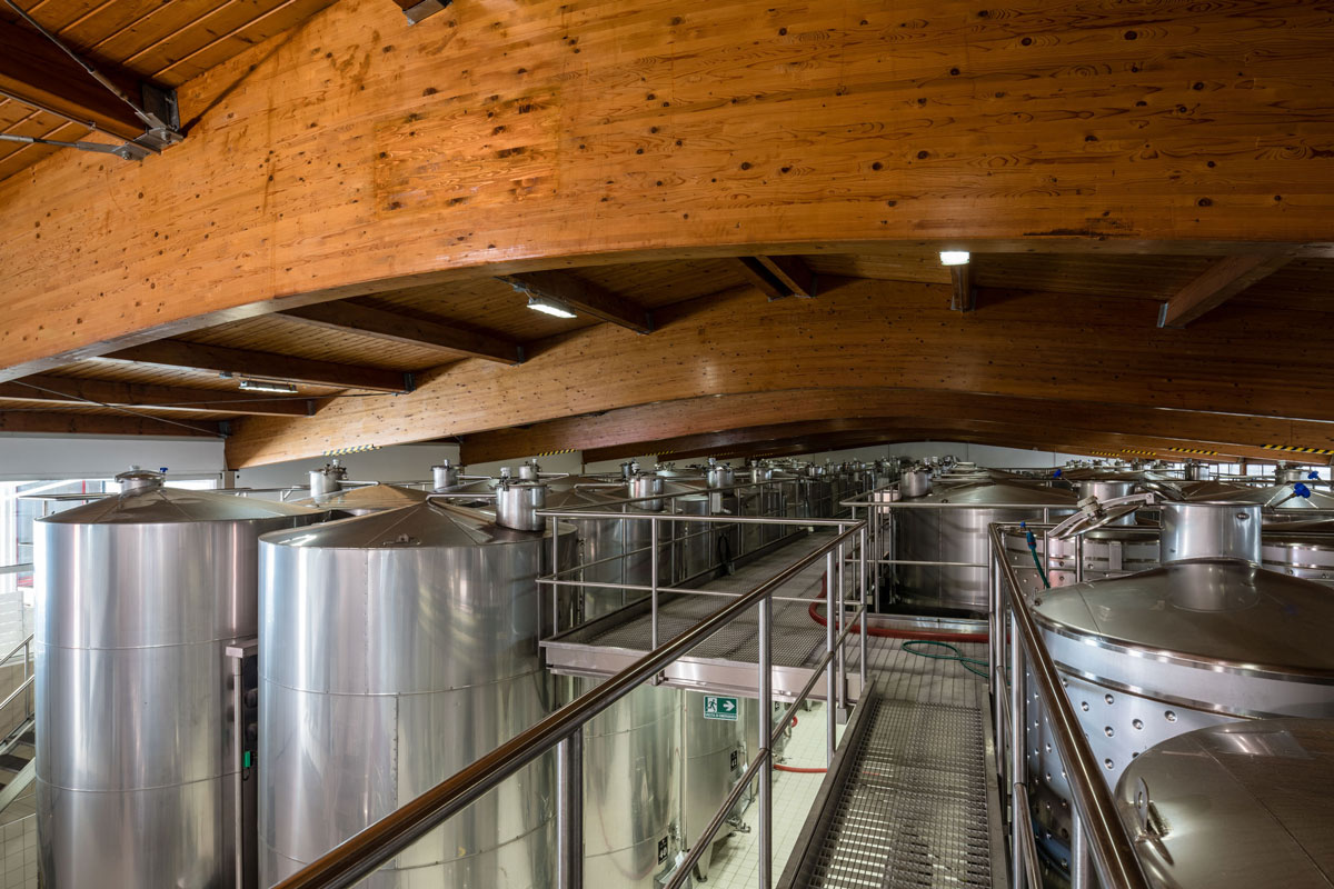 Fermentazione alcolica: quando l’uva comincia a diventare vino Fermentazione alcolica presso Col Vetoraz